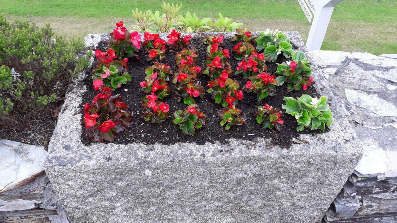 Melorne Farm Bed & Breakfast Camelford Luaran gambar