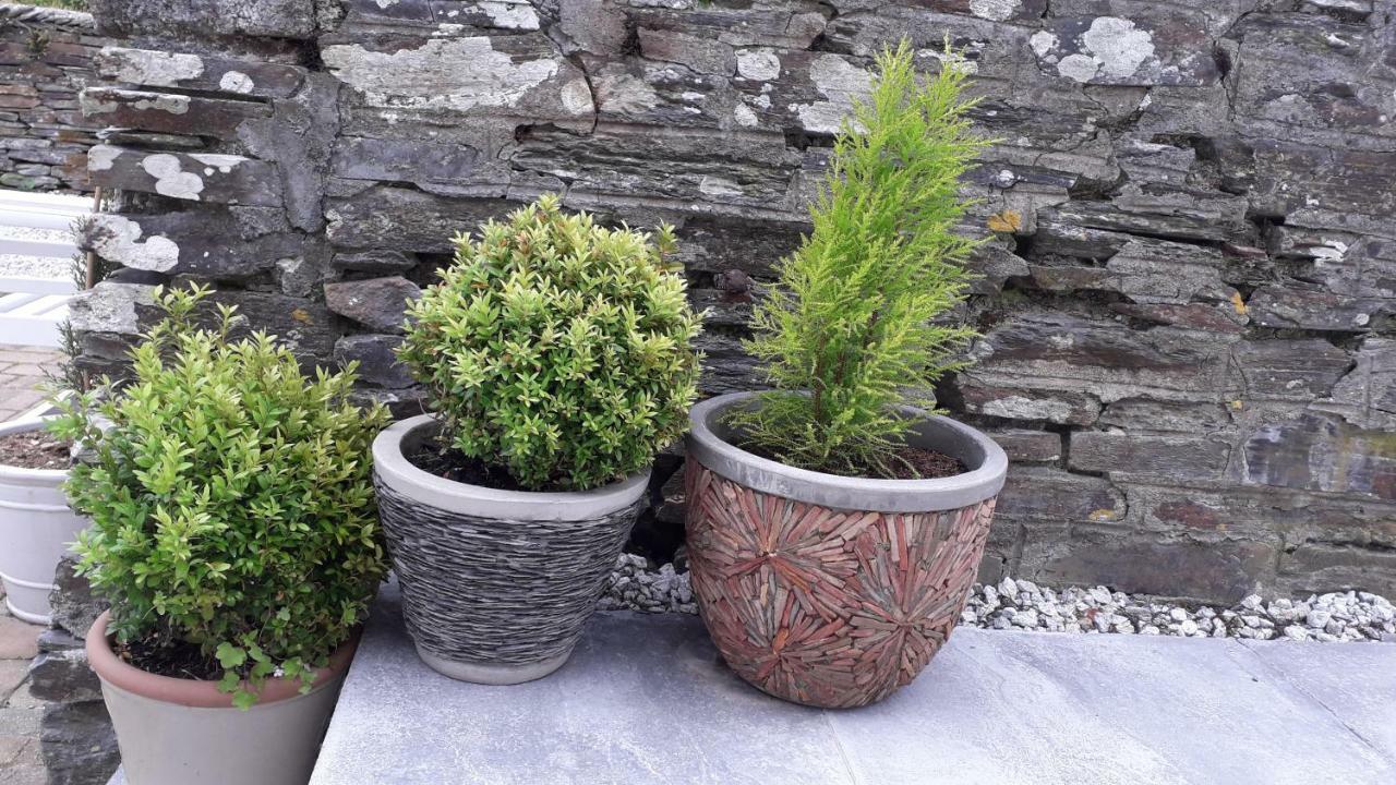 Melorne Farm Bed & Breakfast Camelford Luaran gambar
